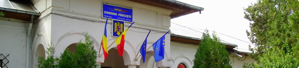 Primaria Comunei Paulesti