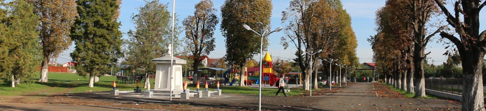 Primaria Comunei Paulesti