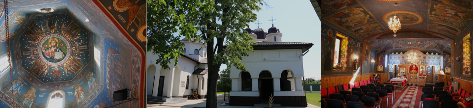 Primaria Comunei Paulesti